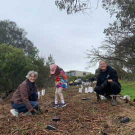 National Tree Planting Day 2025